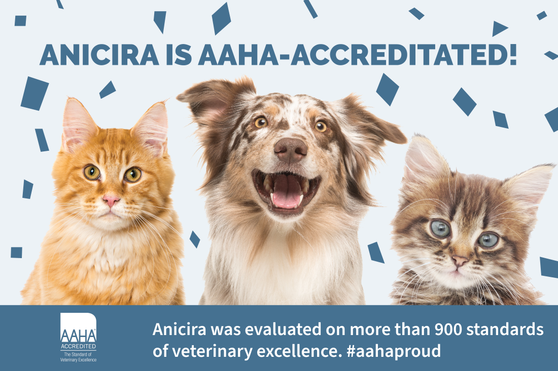 Anicira is AAHA-Accreditated