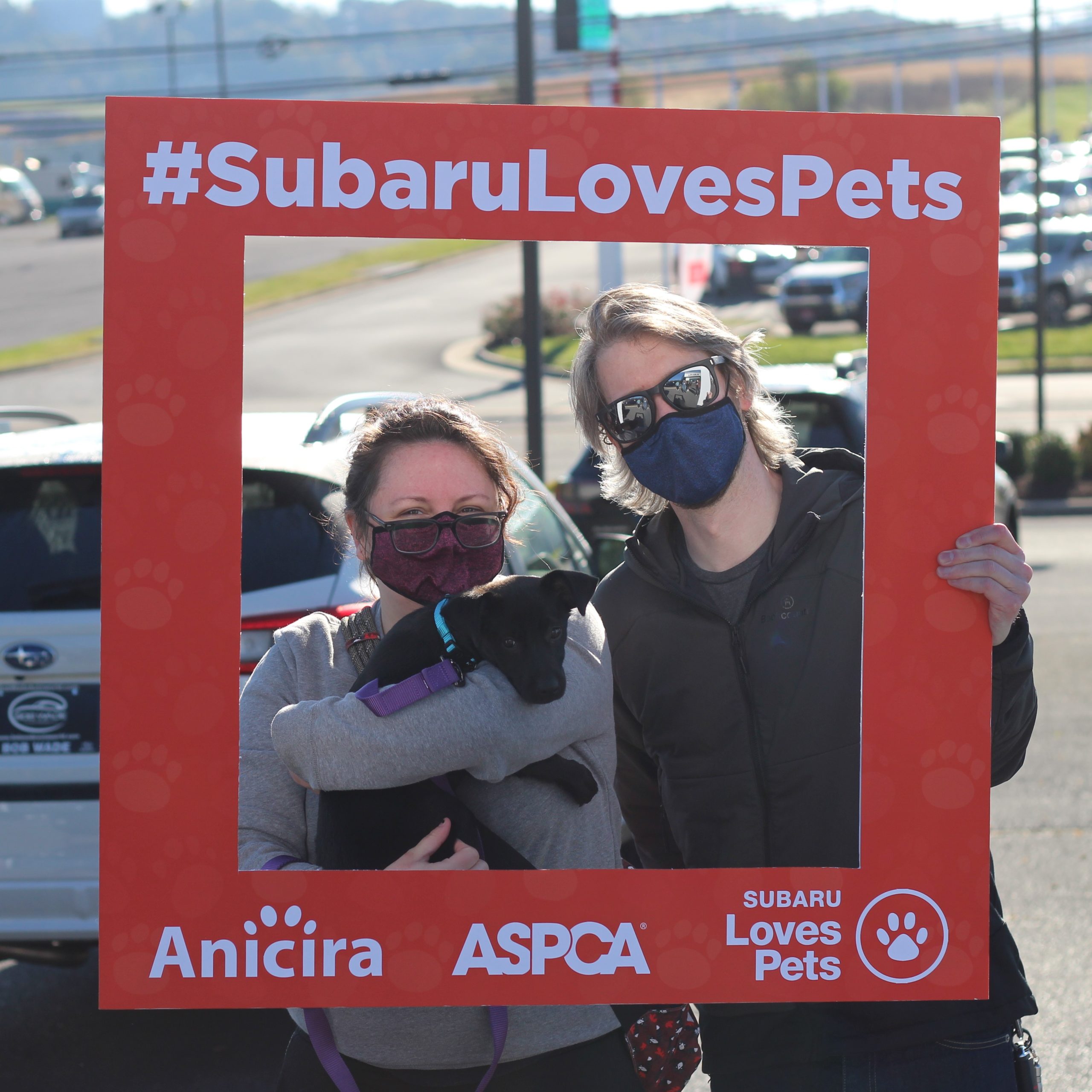 A man and a woman hold a black puppy and stand inside a red frame that reads: #SubaruLovesPets, Anicira, ASPCA