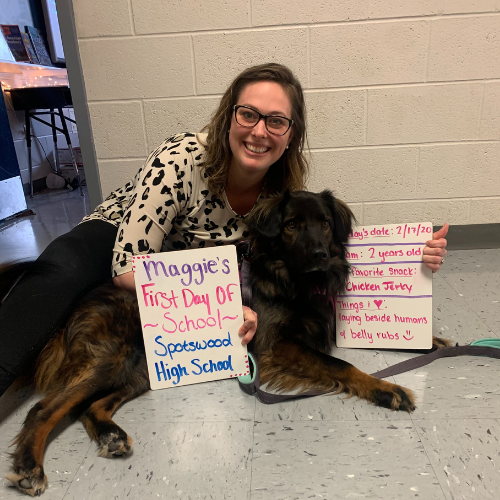 Maggie the brown and black dog on her first day of school as a therapy dog