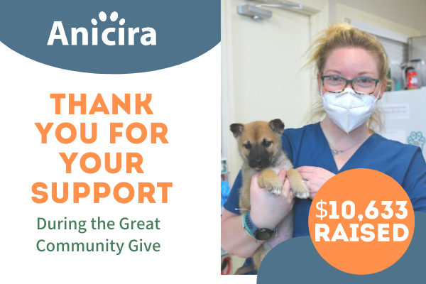 Thank you for your support during the great community give. We raised $10,633